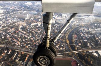 free pepe airdrop in germany