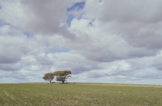 free sol airdrop in australia