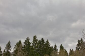 free sol airdrop in canada