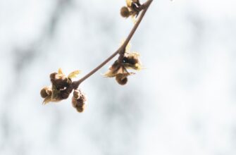 guard seed phrase air gapped for beginners