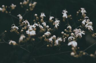 how to anonymize seed phrase in cold storage