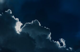 how to claim ethereum airdrop step by step