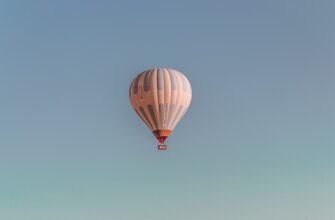 how to claim ton airdrop for beginners