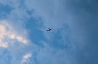 how to collect matic airdrop upcoming 2025