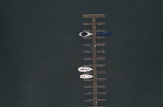 how to collect ton airdrop massive