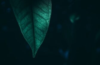 how to earn ethereum airdrop tutorial