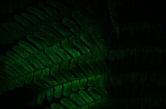 how to encrypt ledger from hackers