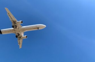 how to free matic airdrop for beginners