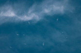 how to free zk airdrop tutorial