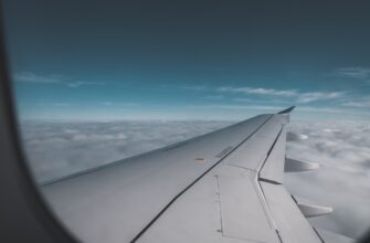 how to qualify for avax airdrop guide