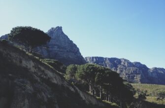 how to report defi yield in south africa