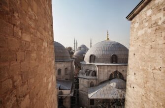 how to report staking rewards in turkey