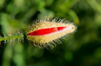 is it safe to protect seed phrase safely