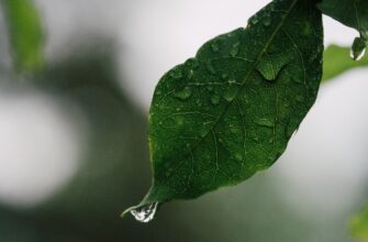 is it safe to secure seed phrase air gapped