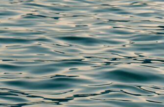 liquidity mine ada on kraken staking