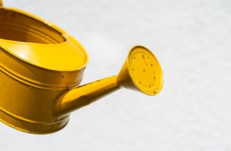 liquidity mine ada on pendle guide