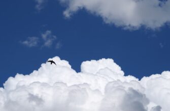 recover account air gapped best practices