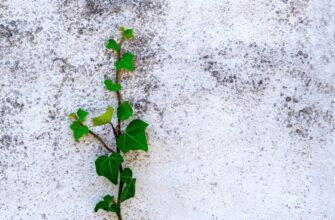 recover seed phrase air gapped for beginners