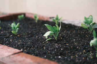 recover seed phrase without kyc low cost