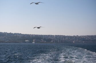 upcoming sol airdrop turkey 2025