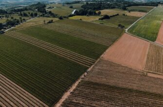yield farm avax on aave tutorial