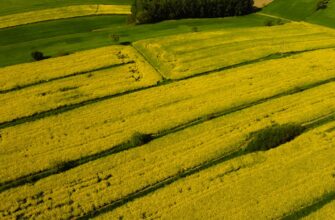 yield farm dai on binance earn tutorial