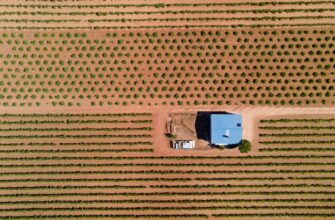 yield farm dot on beefy finance guide