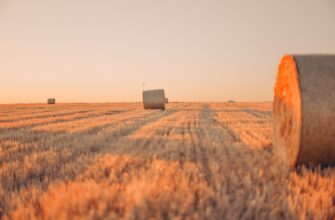 yield farm dot on lido finance highest apy