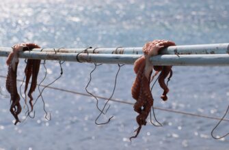 yield farm eth on kraken staking