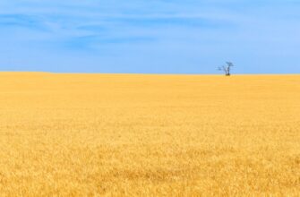 yield farm ethereum on lido finance flexible