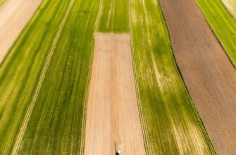 yield farm ethereum on pendle best apy