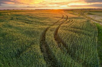 yield farm matic on yearn finance step by step