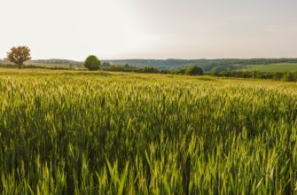 yield farm ton on aave in 2025