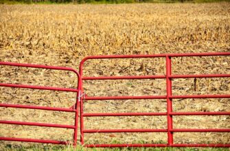 yield farm ton on beefy finance no lock
