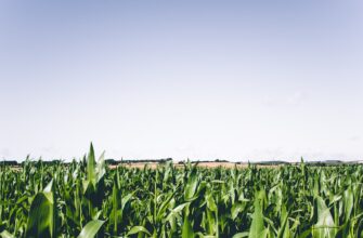 yield farm ton on kraken staking low risk