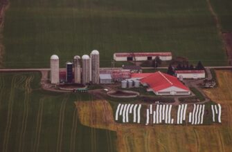yield farm ton on rocket pool in 2025