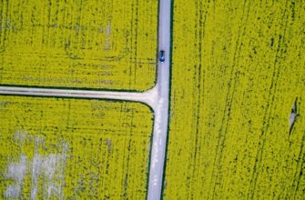 yield farm usdt on aave low risk