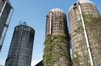 yield farm usdt on kraken staking in 2025