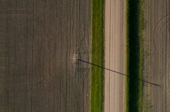 yield farm usdt on rocket pool tutorial