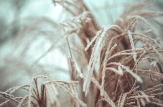 anonymize seed phrase in cold storage best practices