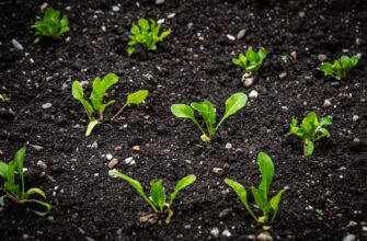 backup seed phrase anonymously step by step