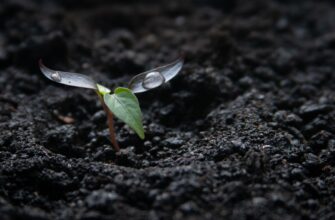 backup seed phrase offline for beginners