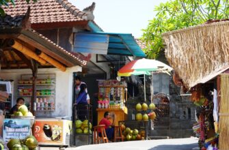 buy toncoin low fee in bali