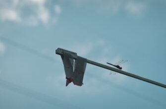 claim pepe airdrop on starknet