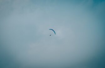 collect arb airdrop on optimism
