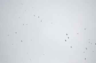 day trading eth on kraken using bots 1 minute timeframe