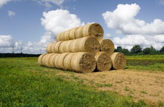 farm bnb on binance earn guide