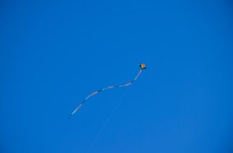 farm cardano on rocket pool tutorial