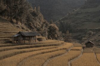 farm dai on lido finance flexible