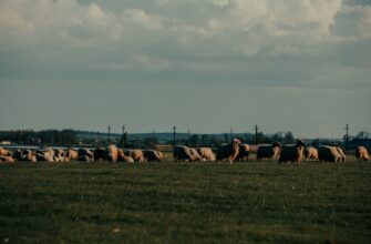 farm ethereum on coinbase staking low risk